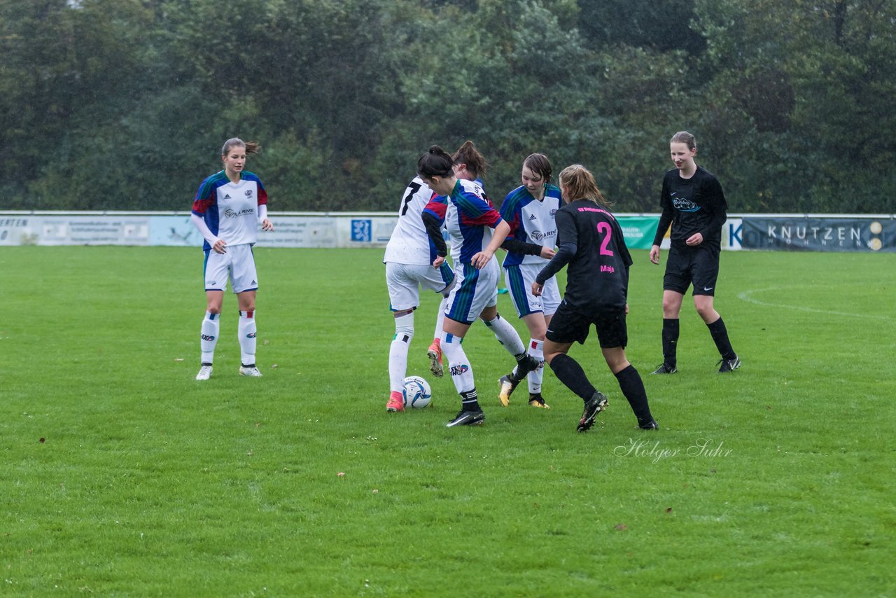 Bild 249 - B-Juniorinnen SV Henstedt Ulzburg - MSG Steinhorst Krummesse : Ergebnis: 4:0